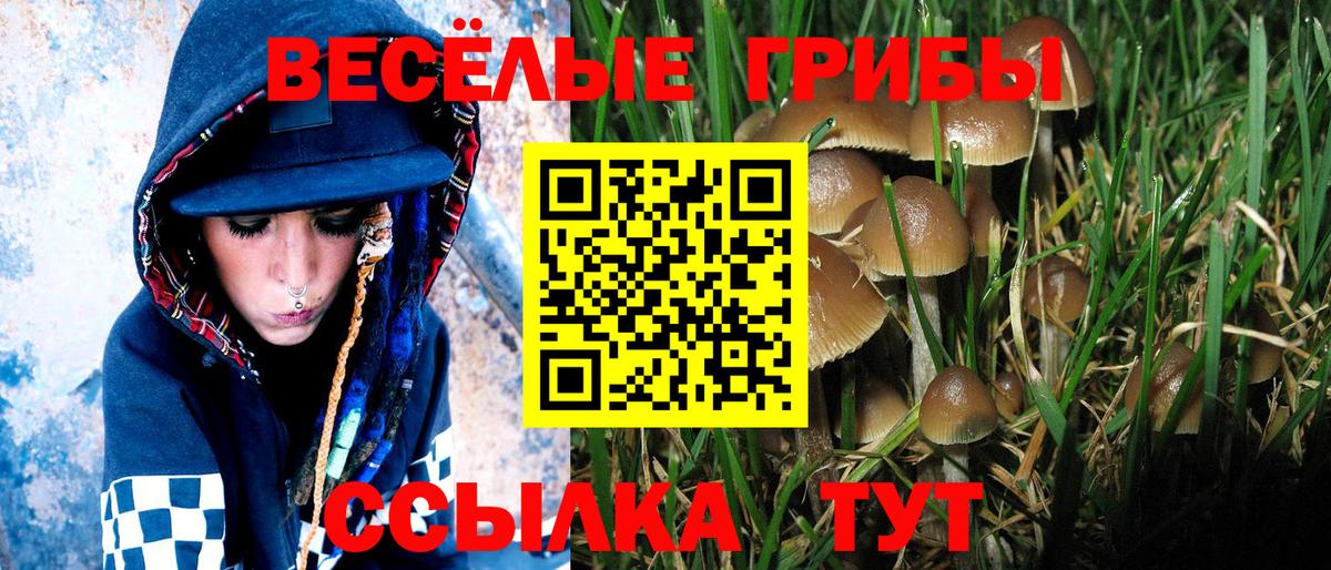 наркошоп  Псилоцибиновые грибы прущие грибы  Вход с VPN  Вязники  Псилоцибиновые грибы Magic Shrooms 